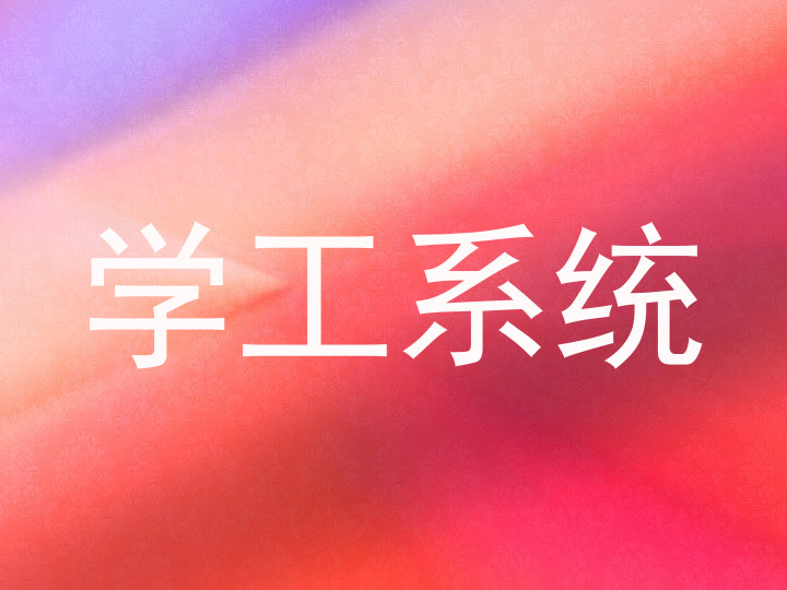 学工系统