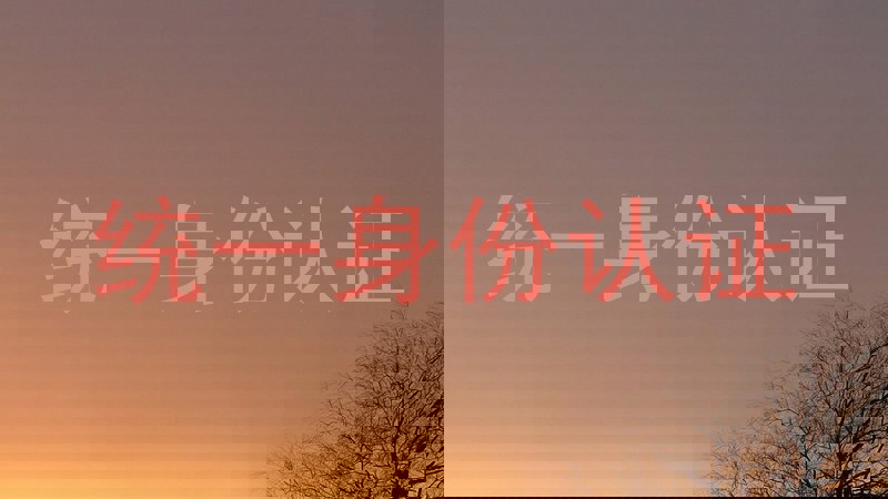 统一身份认证