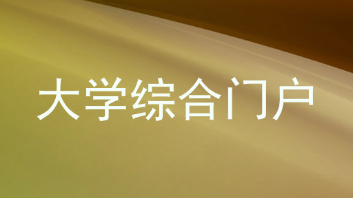 大学综合门户