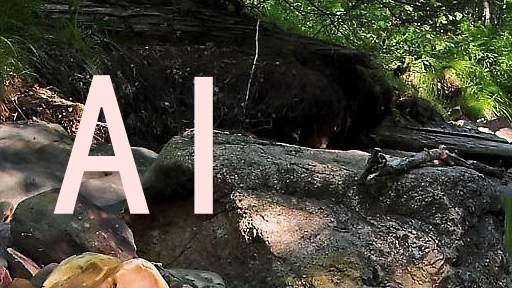 AI