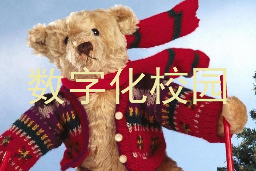 数字化校园