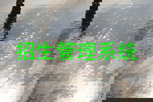 招生管理系统