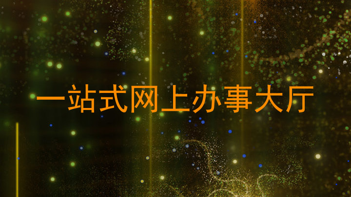 一站式网上办事大厅