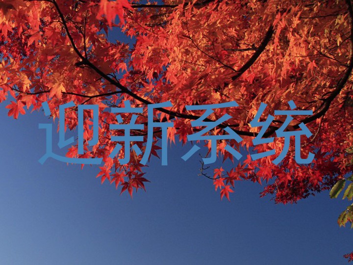 迎新系统