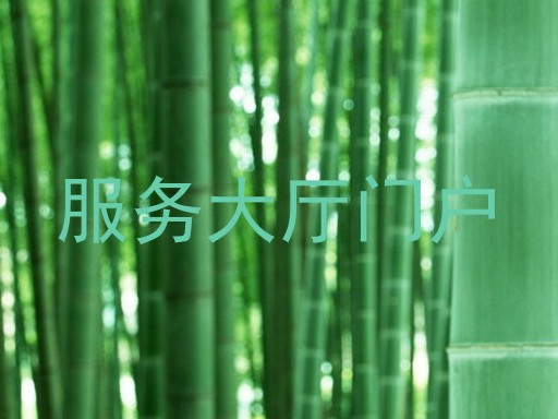 服务大厅门户