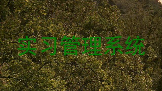 实习管理系统
