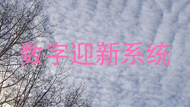 数字迎新系统