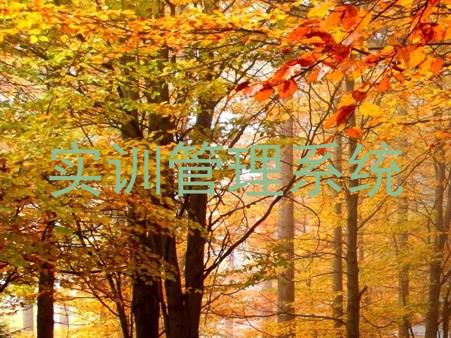 实训管理系统