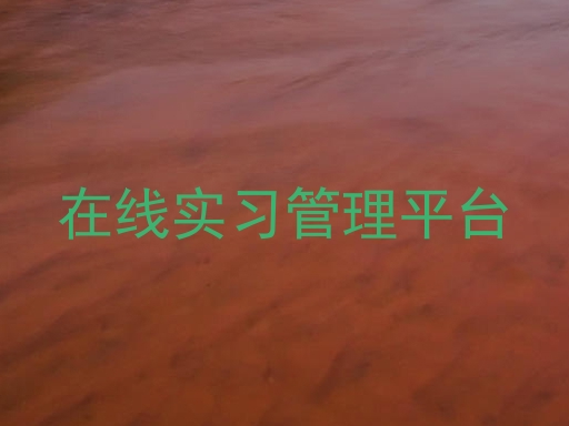 在线实习管理平台