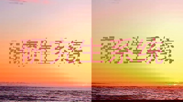 研究生系统