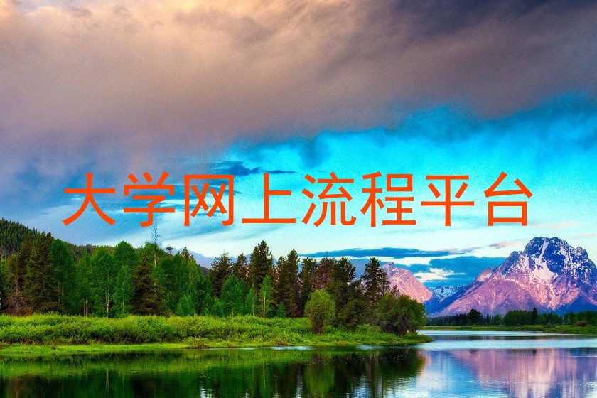 大学网上流程平台