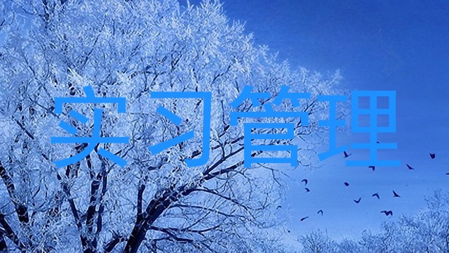 实习管理