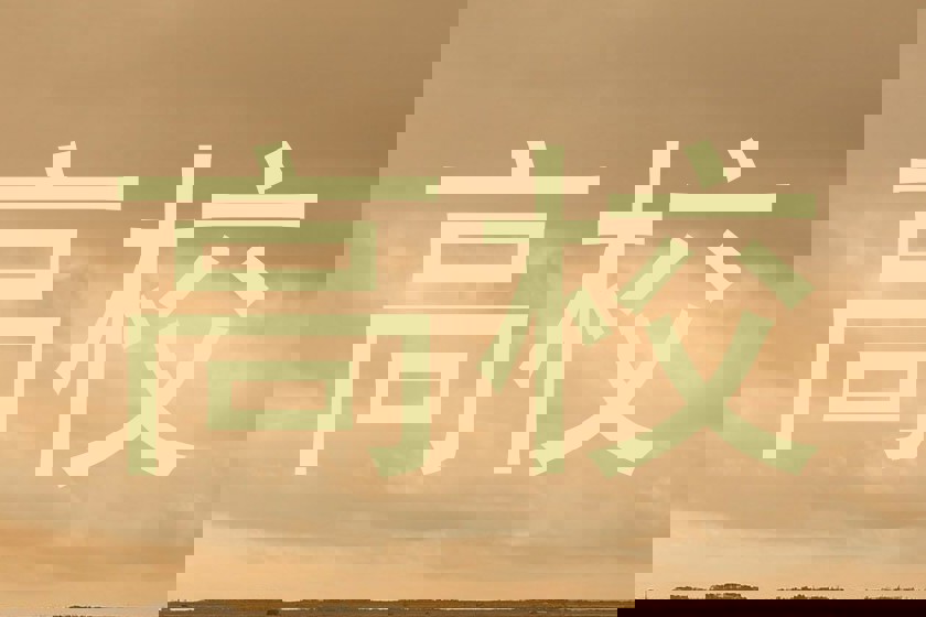 高校