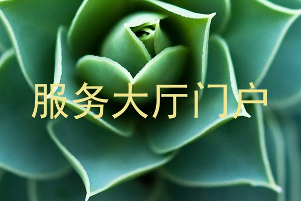 服务大厅门户
