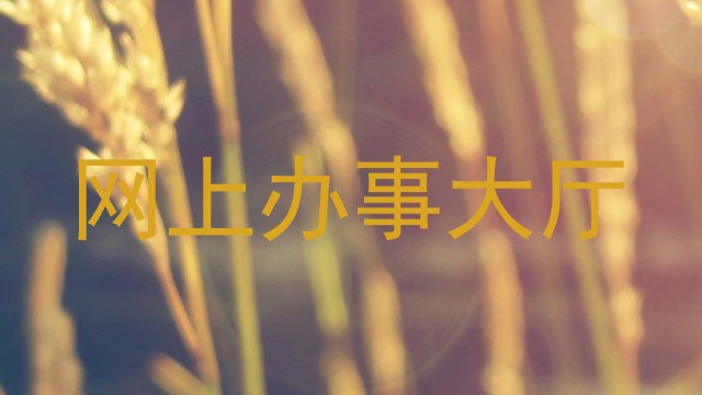 网上办事大厅