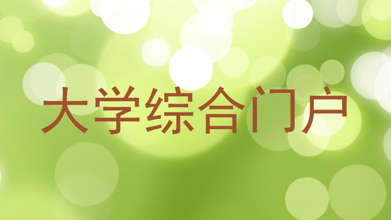 大学综合门户