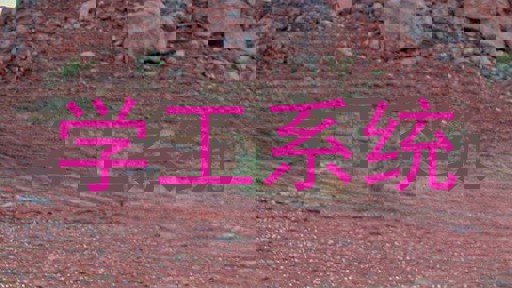 学工系统