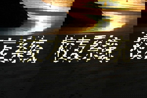 校友系统