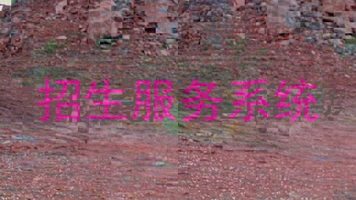 招生服务系统