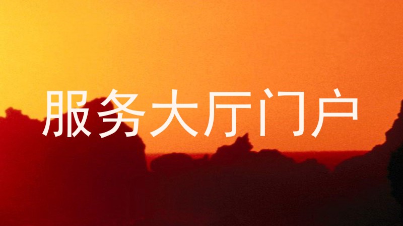 服务大厅门户