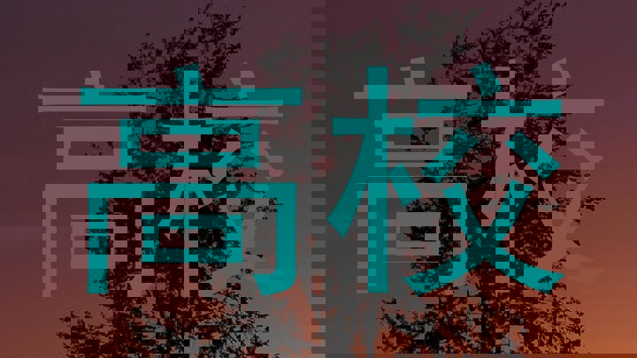 高校