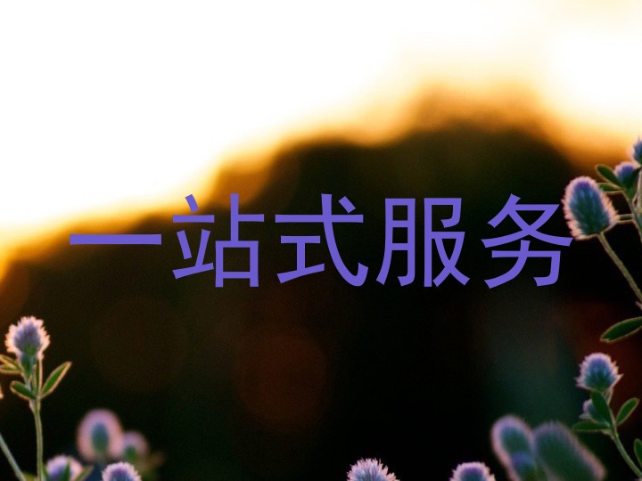 一站式服务
