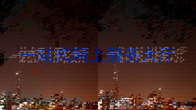 一站式网上服务大厅