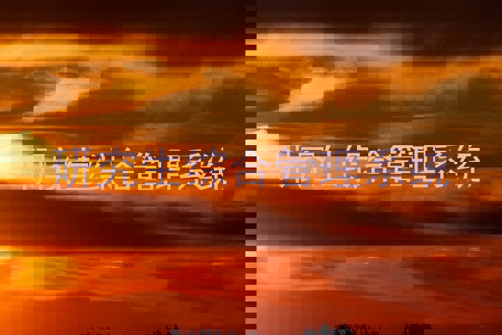 研究生综合管理系统