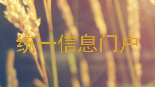 统一信息门户