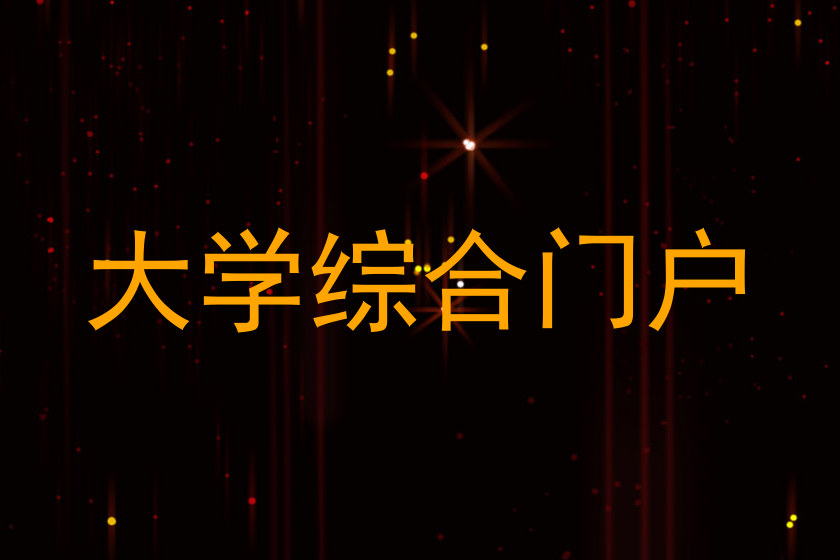 大学综合门户