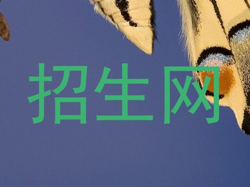 招生网