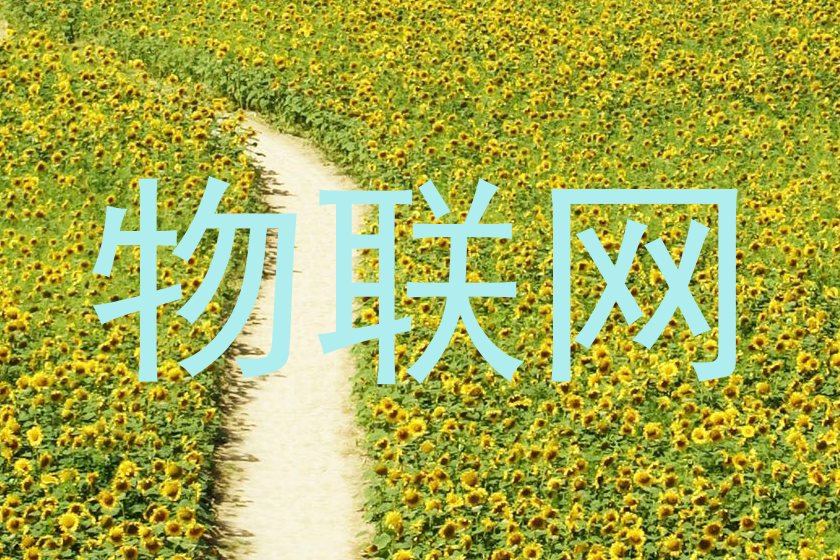 物联网