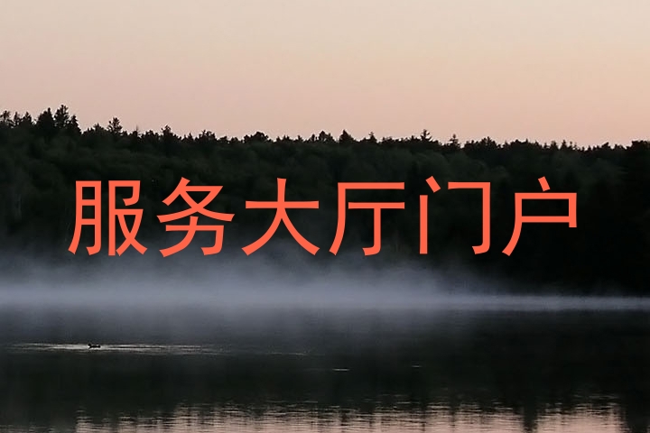 服务大厅门户