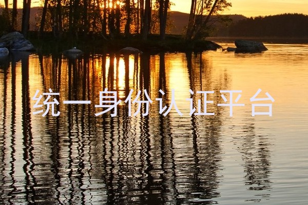 统一身份认证平台