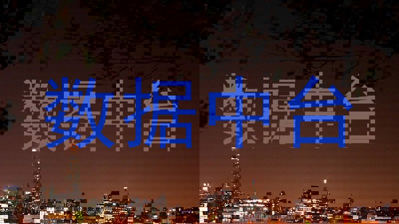 数据中台