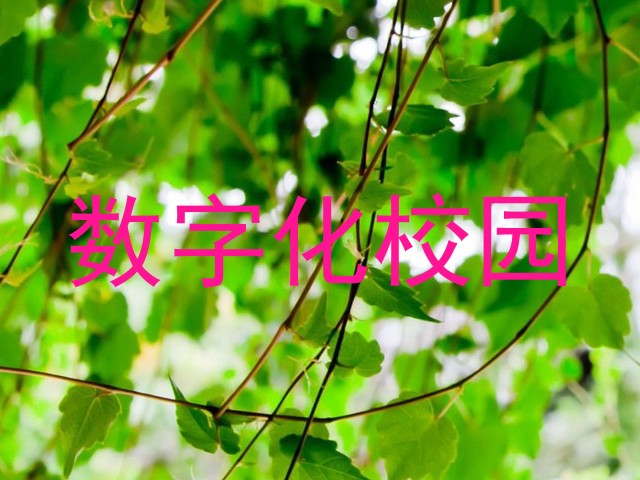 数字化校园