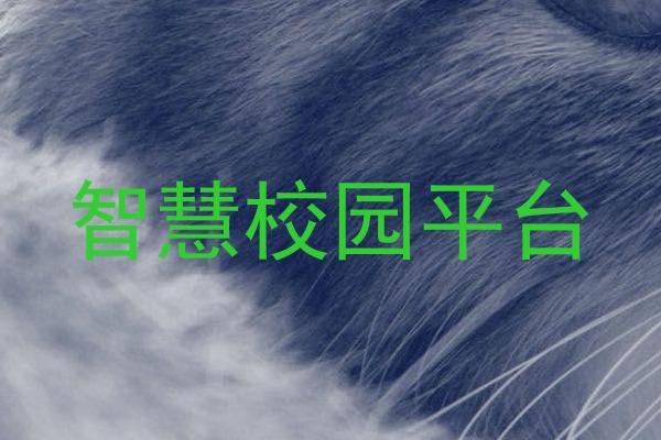智慧校园平台