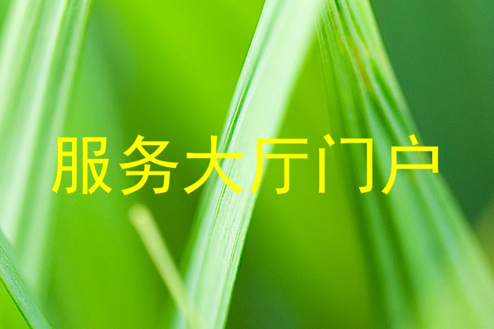 服务大厅门户