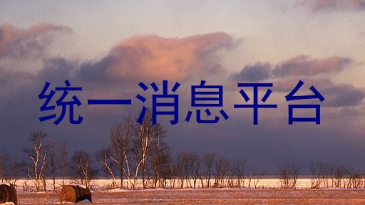统一消息平台
