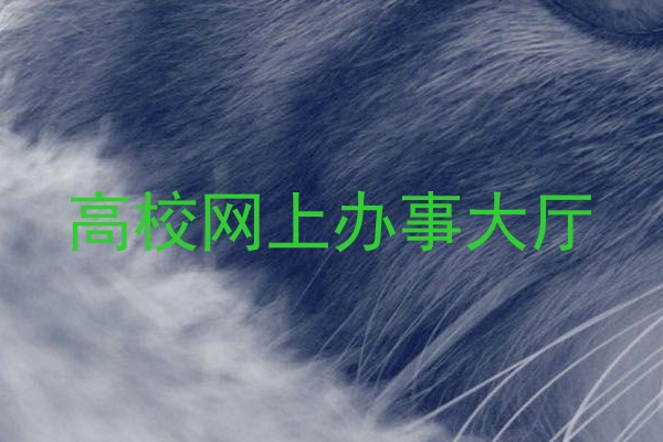 高校网上办事大厅