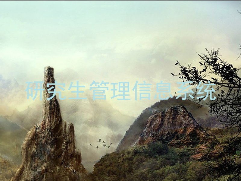 研究生管理信息系统