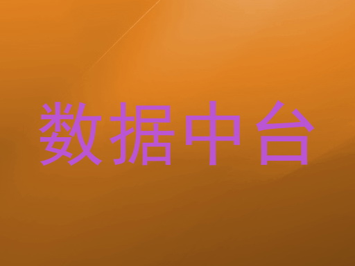 数据中台