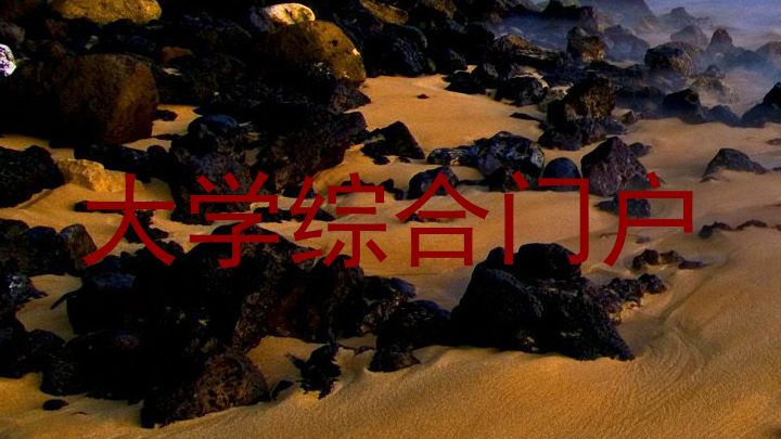 大学综合门户