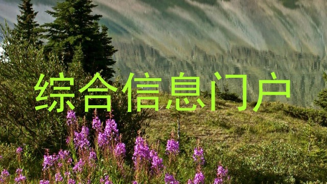 综合信息门户