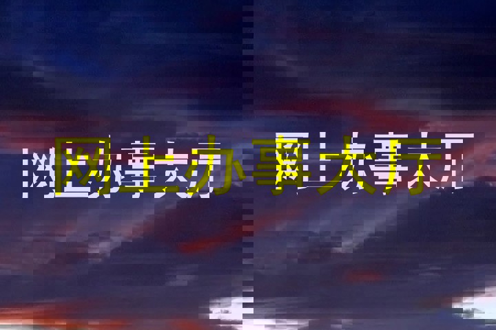 网上办事大厅