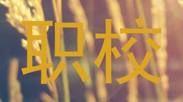 职校