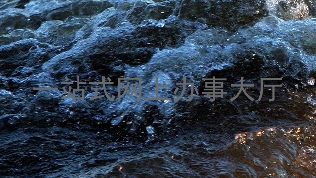 一站式网上办事大厅