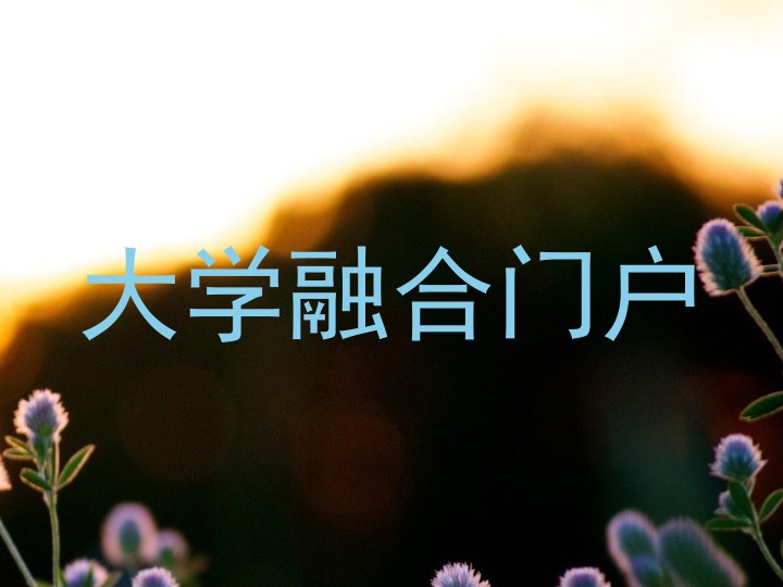 大学融合门户