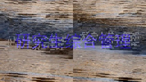 研究生综合管理