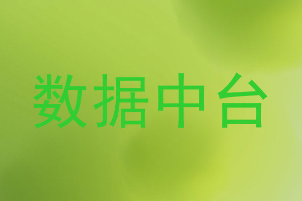 数据中台